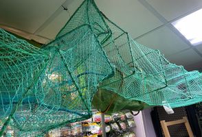 Катиска крупнояч. 30*20 4 м